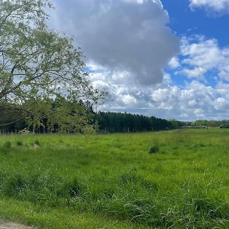 Gite Le Village Des Champs Soings-en-Sologne Luaran gambar