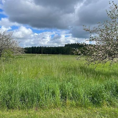 Gite Le Village Des Champs Soings-en-Sologne Luaran gambar