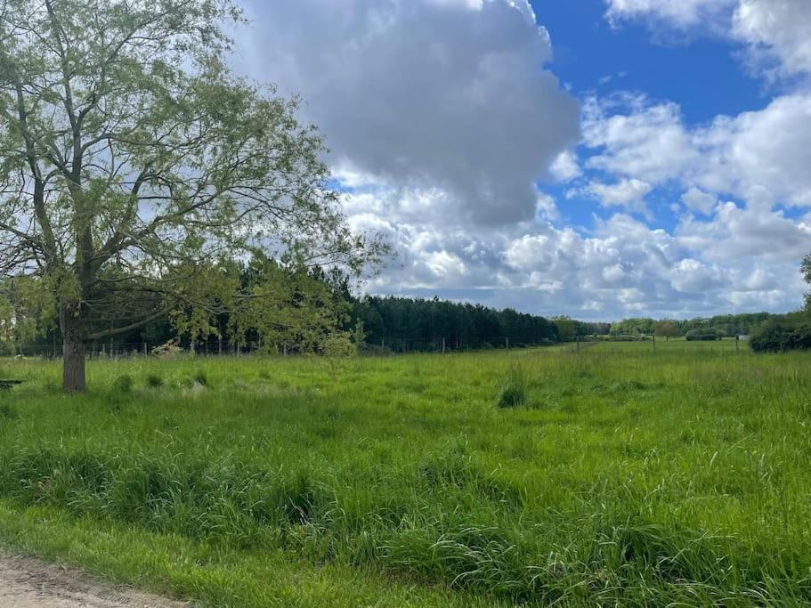 Gite Le Village Des Champs Soings-en-Sologne Luaran gambar