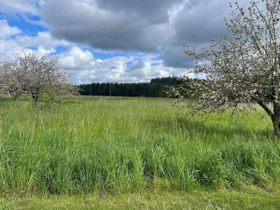 Gite Le Village Des Champs Soings-en-Sologne Luaran gambar